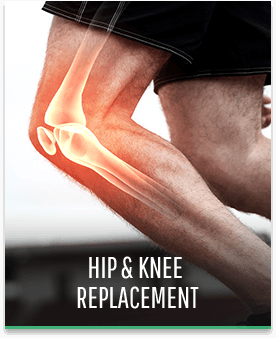 Hip & Knee Replacement