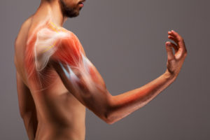 biceps tendonitis