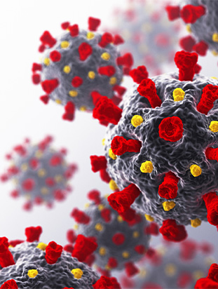 Center for Orthopaedic Surgery and Sports Medicine