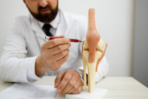 A male orthopedic doctor displays a model of a human artificial knee joint in his medical office.